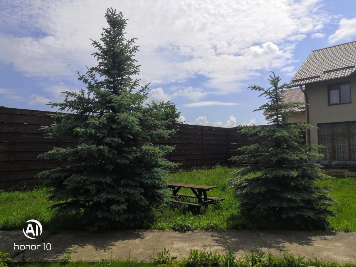 Casa Rubin Hotel Gura Humorului Buitenkant foto